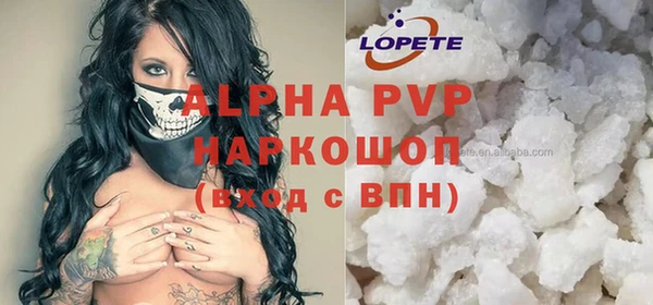 крисы Сатка